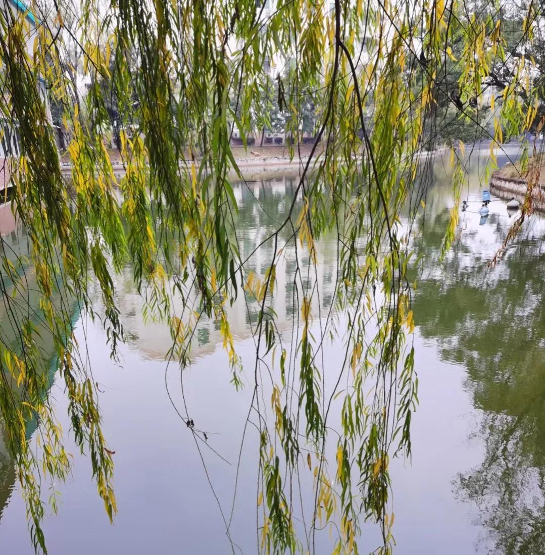 大语文时代：中考作文•难忘的一件事