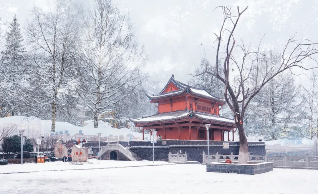 形容雪很美的詩句有哪些（形容雪很美的詩句有哪些）