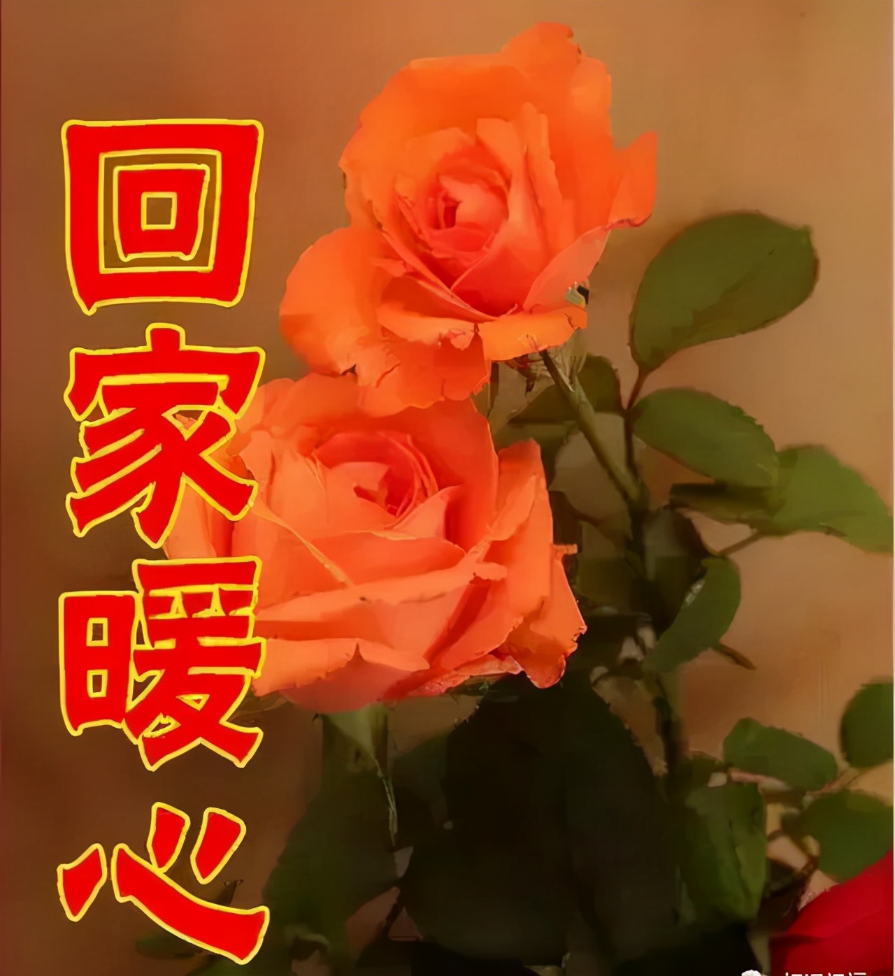 女神节｜最美的祝福送给你，全天下的女神们，祝你们节日快乐