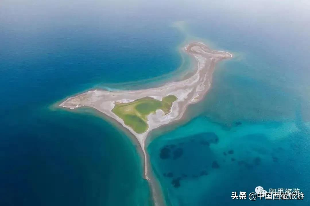 等一个人，陪我去阿里！
