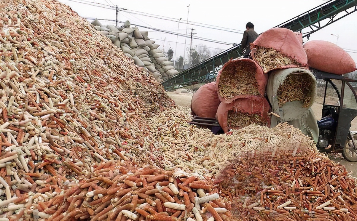 当垃圾扔掉的玉米芯，在韩国却成了“稀罕货”，1根卖到2元
