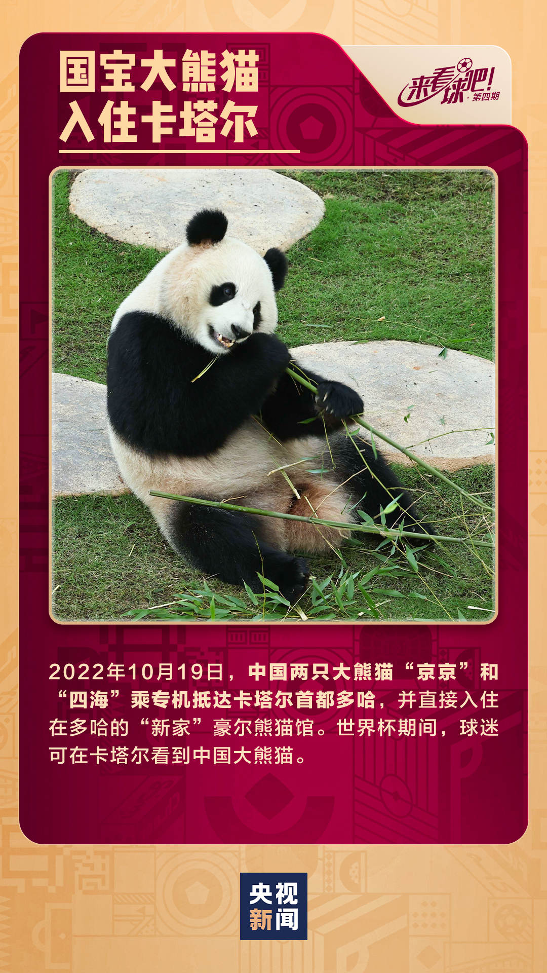 世界杯中國隊員2022（世界杯，有支“中國隊”）