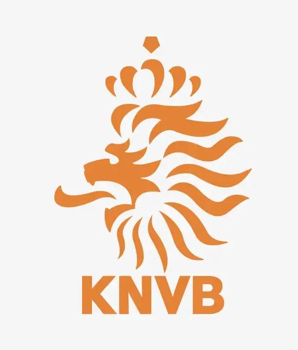 世界杯32天32国档案——荷兰