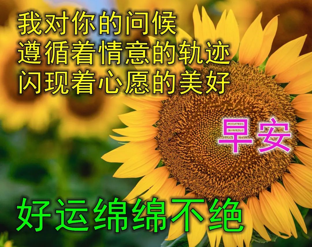 2022最火早上好图片带祝福语文字 图片