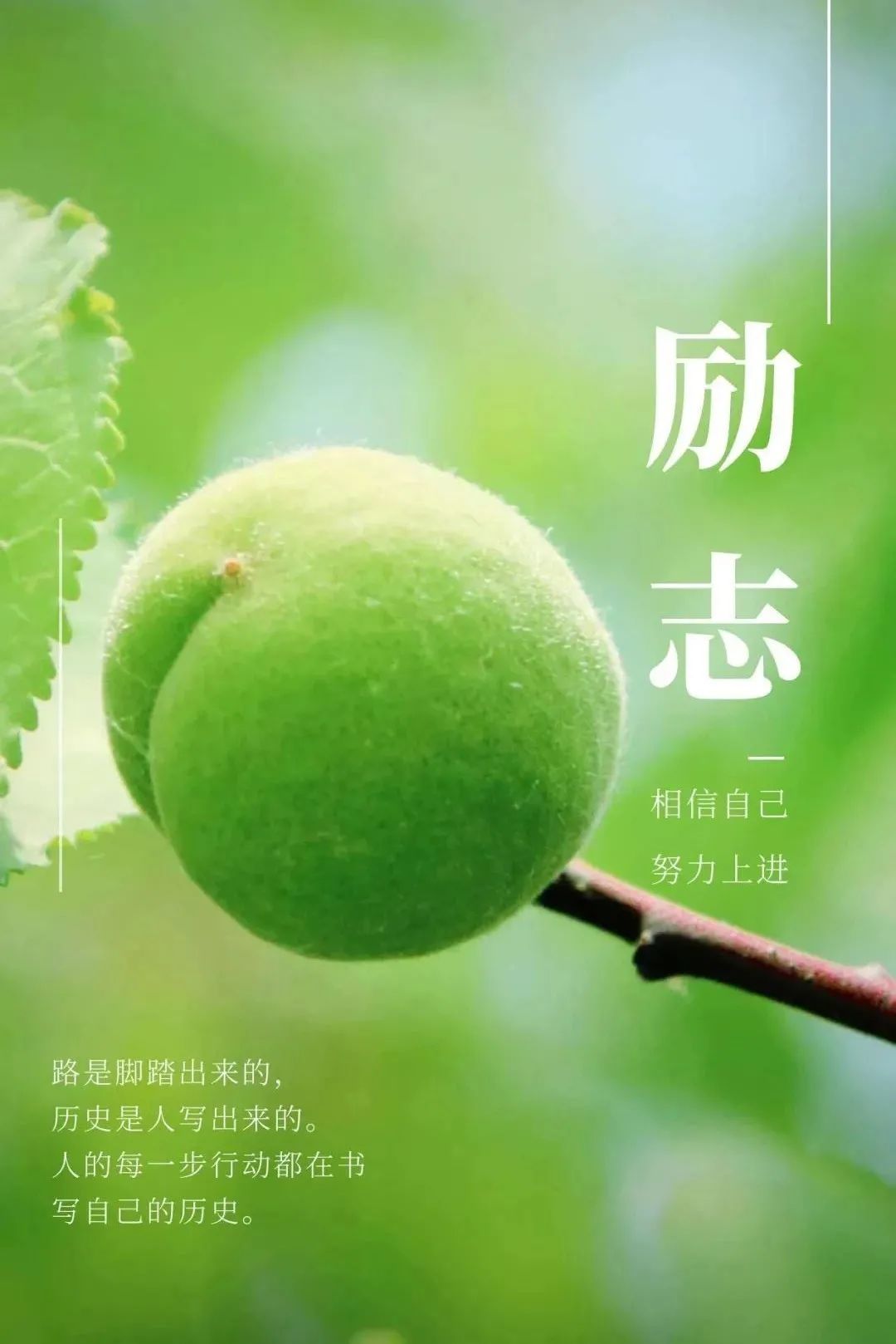 唯美的正能量短句子大全
