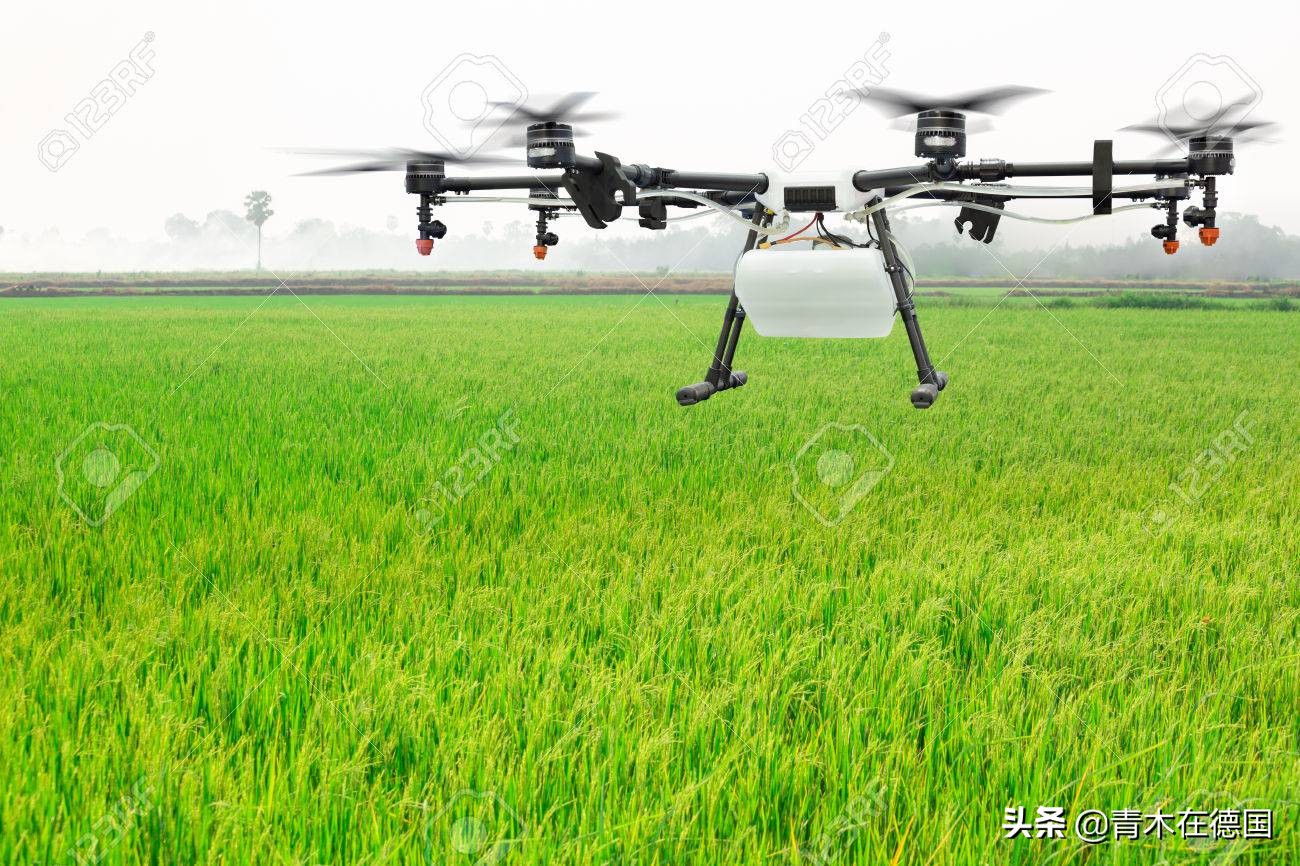 德媒：德国可从中国农业学到什么，一大趋势让欧洲农民特别羡慕