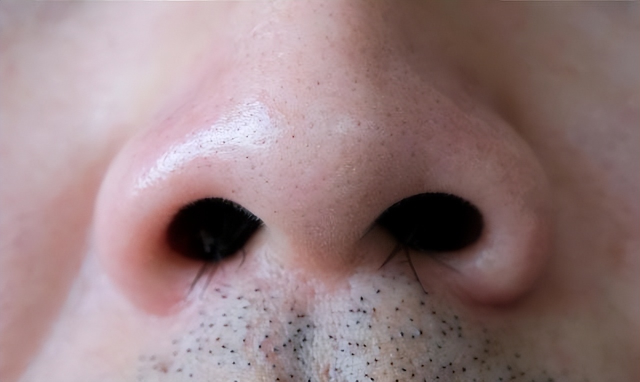 鼻毛旺盛说明了什么?了解一下