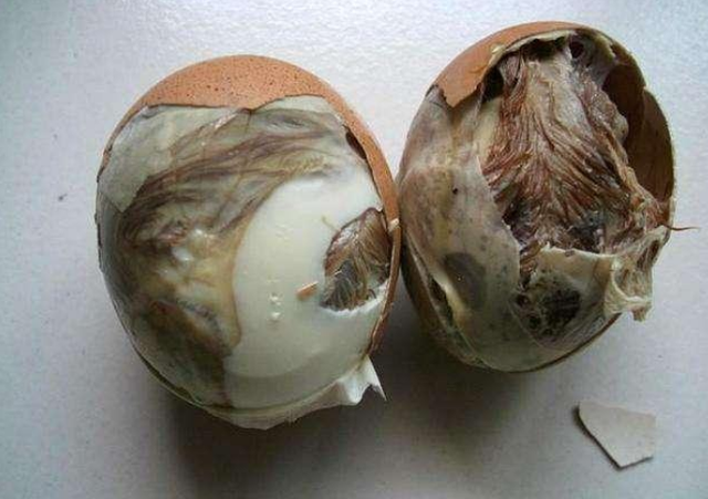 毛鸡蛋和活珠子是一样的么？活珠子和毛鸡蛋的区别-第3张图片