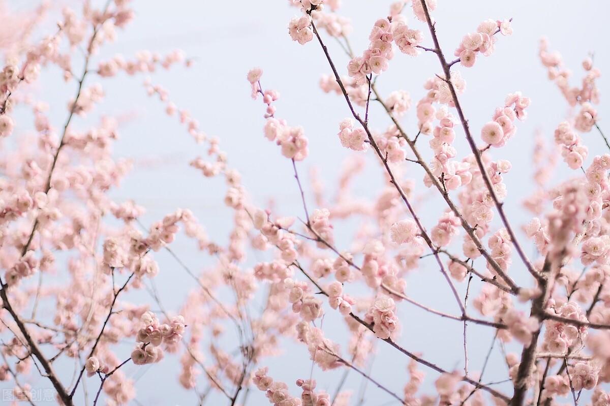 25句形容美女的诗句