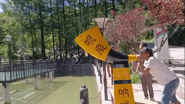 因麥積山而來 留植物園忘返！麥積山植物園帶你體驗叢林探險的樂趣