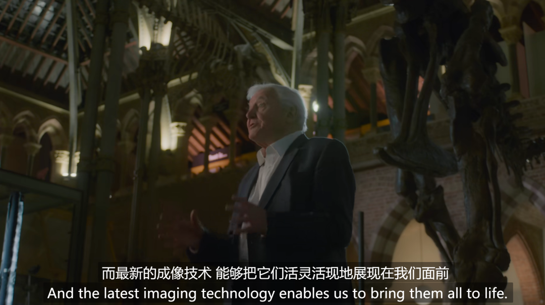 9.4分年度必看，颠覆之作！每一秒都在燃烧经费的，顶级新片