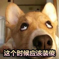 比利时足球队为什么世界第一（没想到啊没想到，比利时男足竟是这样的世界第一）