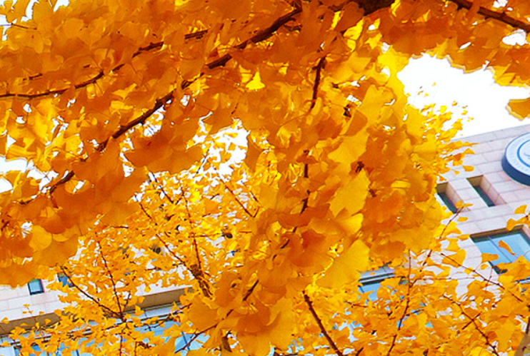 中国财经类大学排名前30强：两财一贸排在前三，6所排名全国前百