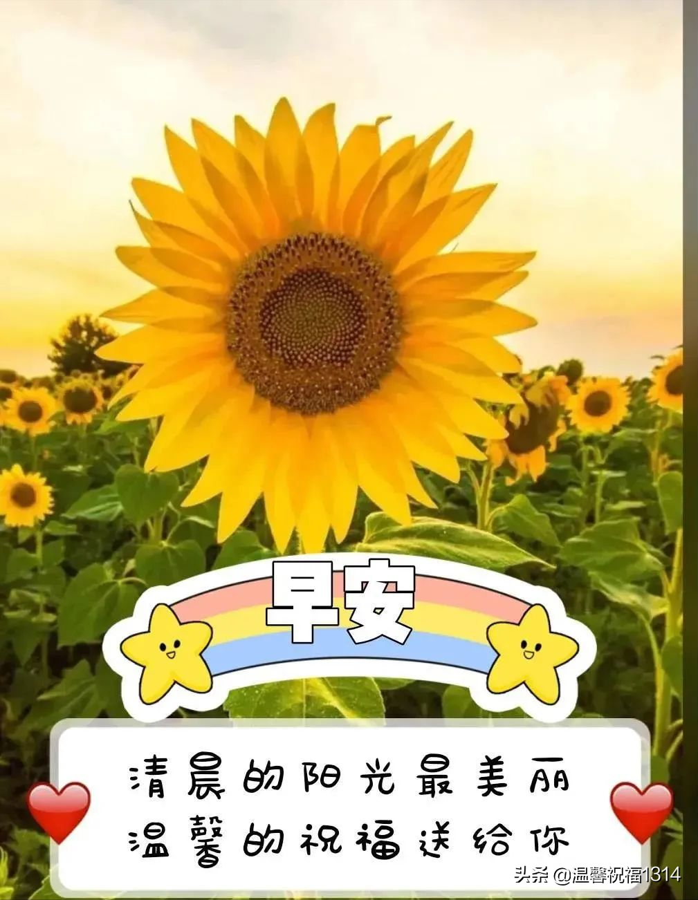 朋友圈群发早安祝福文字图片,清晨暖心的早上好问候语句