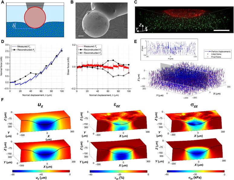 局部横向接触控制水凝胶基底上微图案表面的剪切牵引力