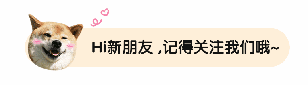 为何狗狗会半夜“惊现哭声”？其实原因有这6个