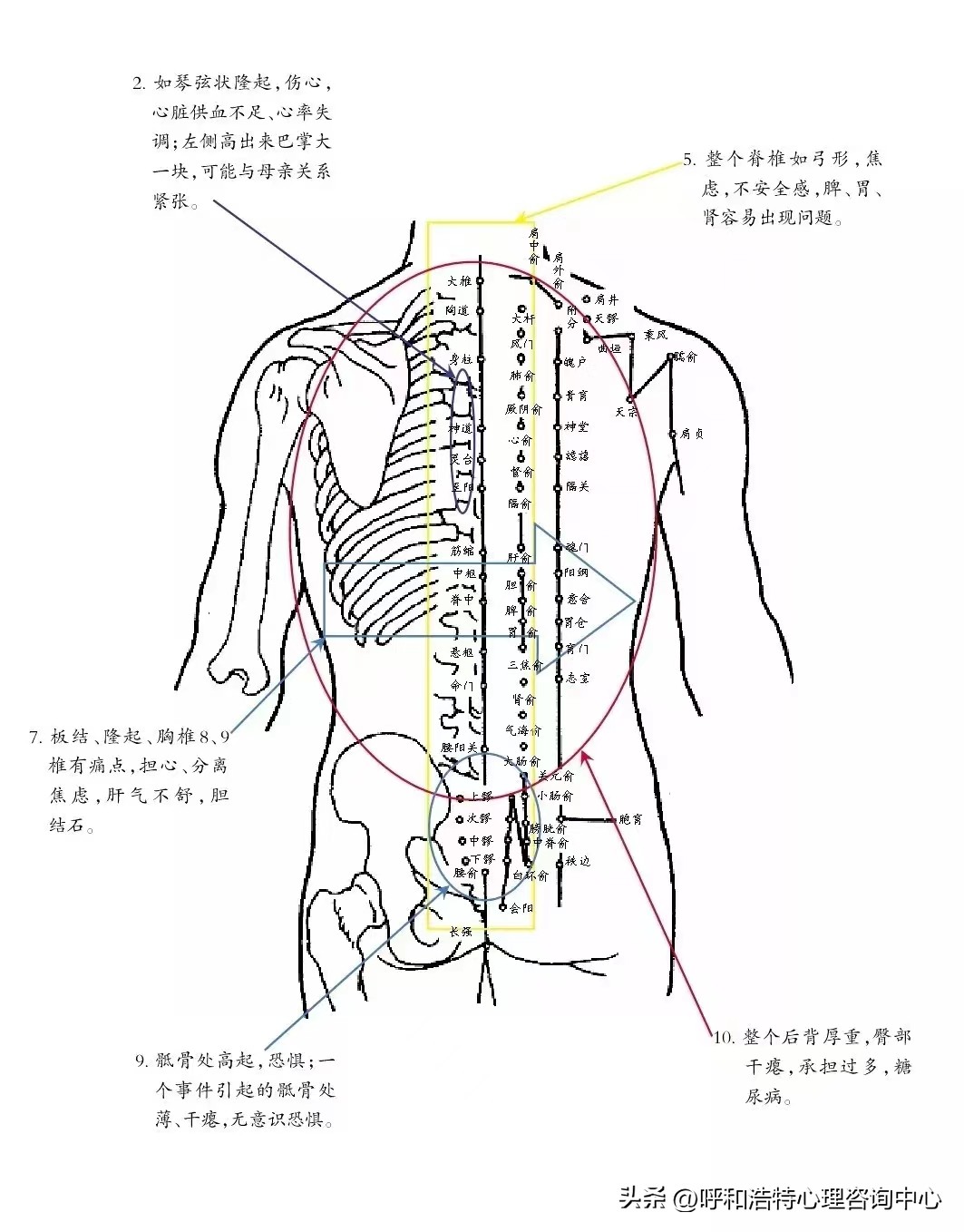 十五络脉示意图图片