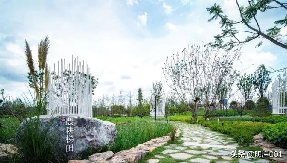 明岸：风景园林设计的构图有哪些形式？