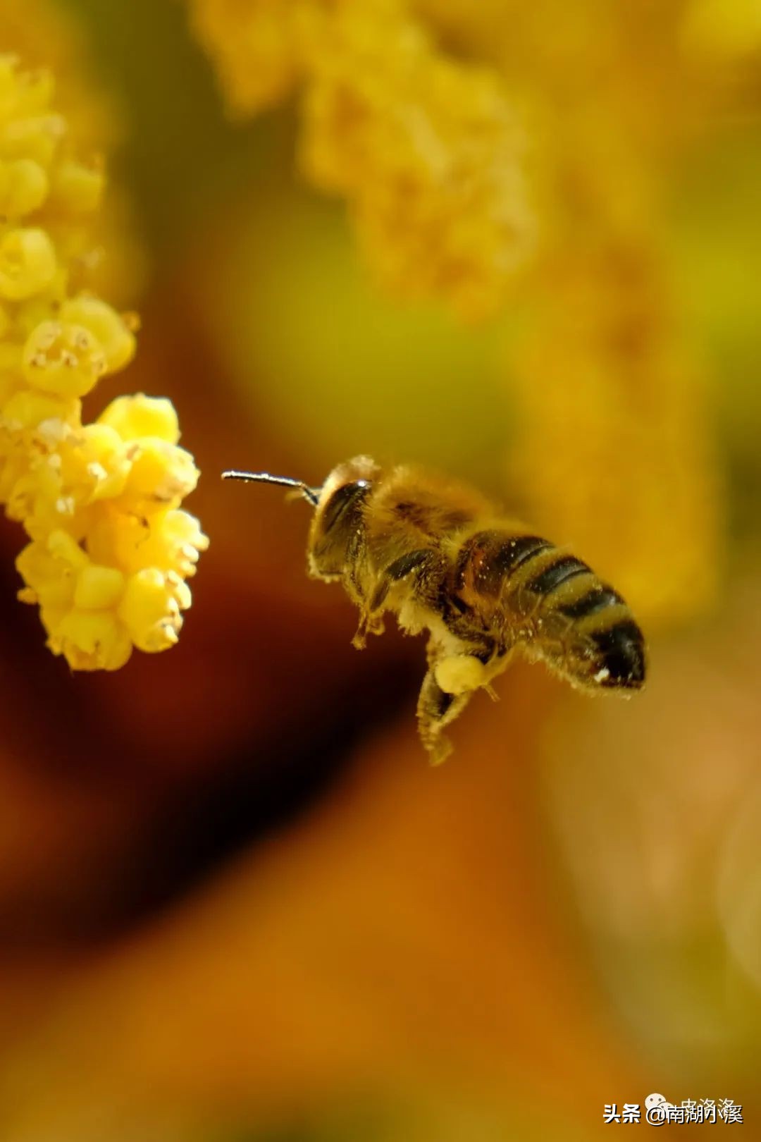 工作十年，分享工作中应该培养的八种能力