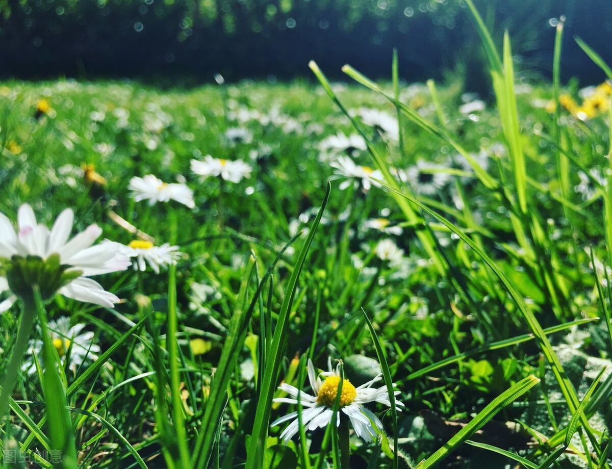 深情催泪情感美文：曾经的爱恋，曾经的悲欢