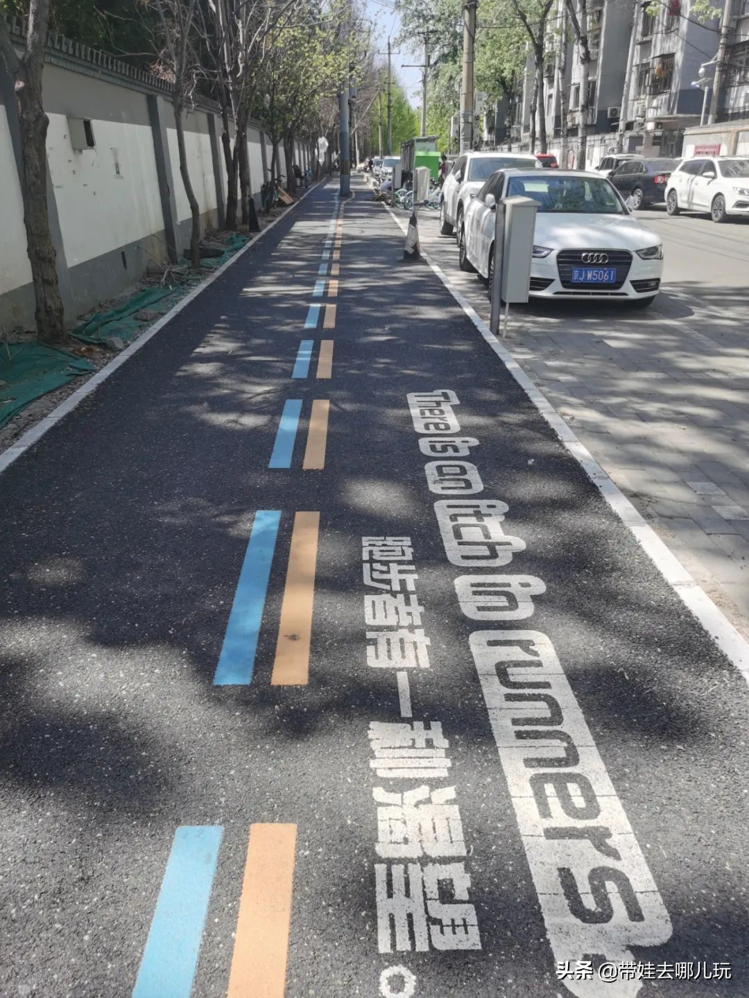 实测北京朝阳区新开的骑行绿道后，我来交个作业