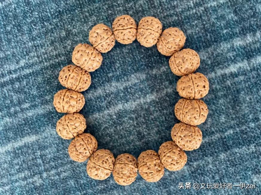 跟随伊zei，带你认识金刚菩提
