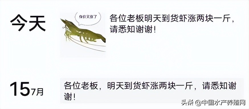 一天一个价，江苏30条对虾冲到24块！南方也缺货，下个月还会涨？