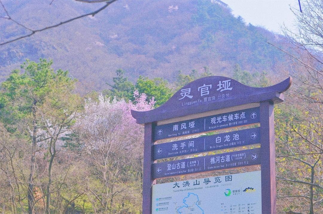 武汉自驾2H，打卡高山野樱花瀑布~花间漫步，自在山居，太浪漫