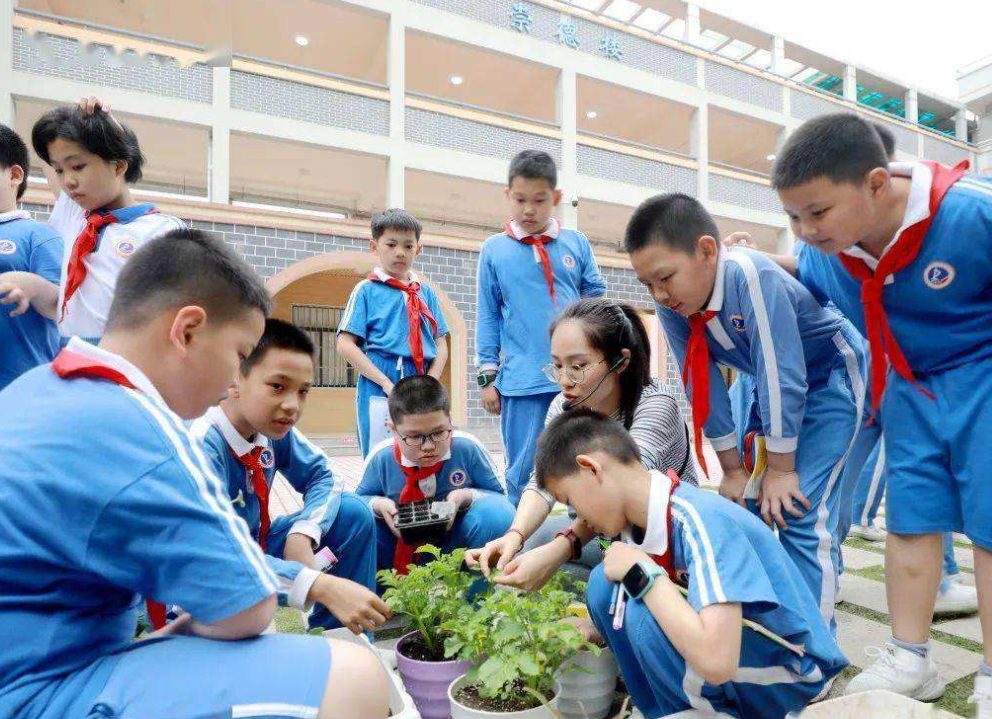 “取消课后服务”呼声渐高，教育部传来好消息，家长松了一口气