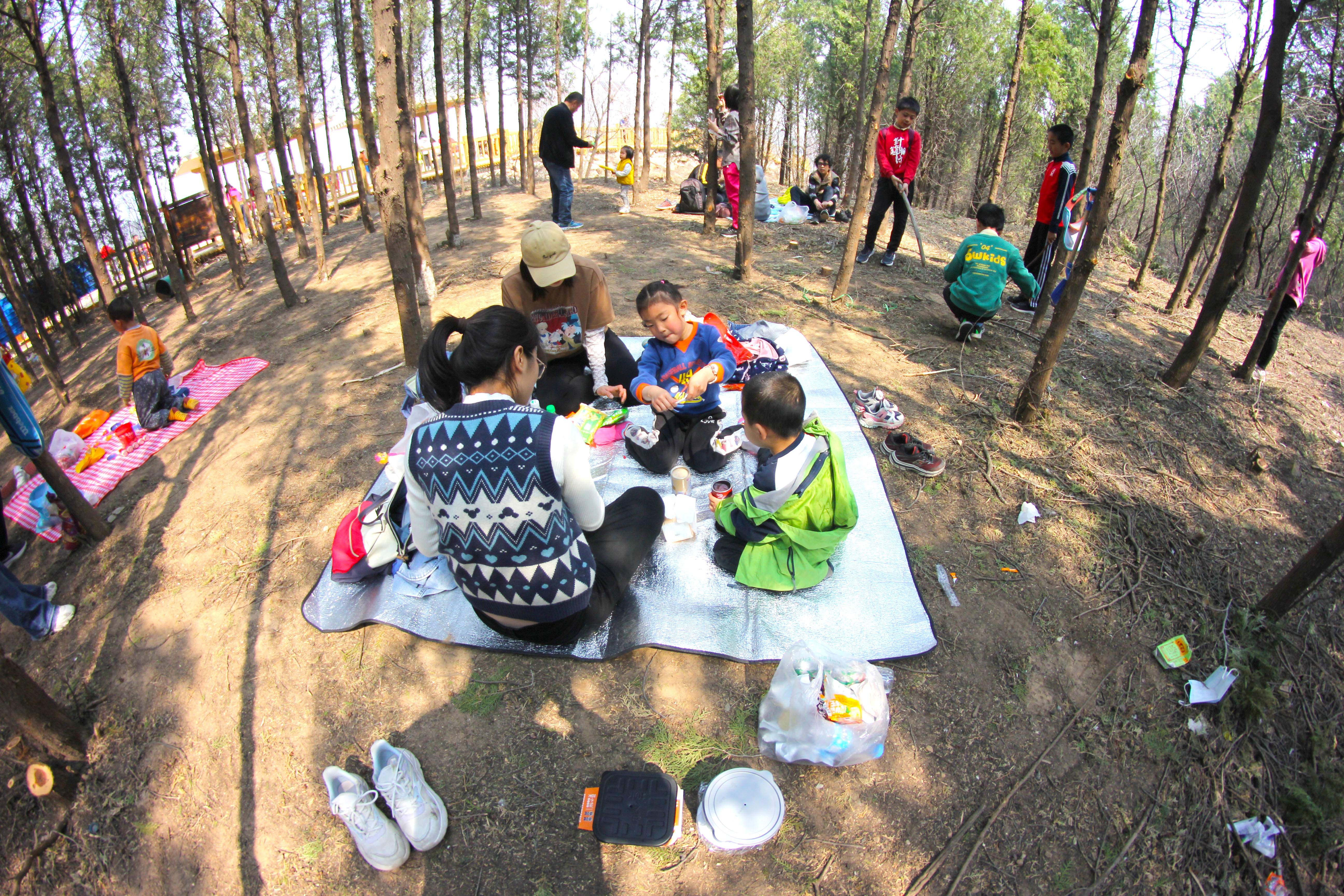 藏在北京近郊的踏青好去处，赏花海、挖水晶，还有清澈的山泉水