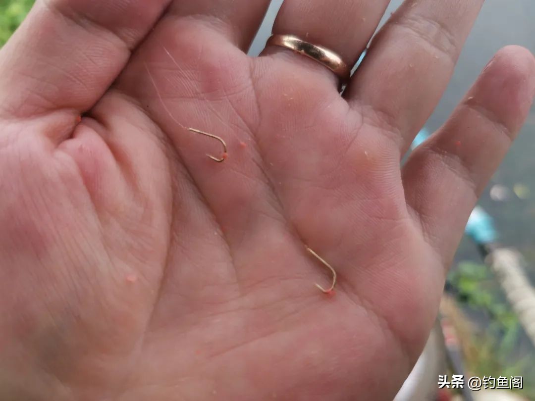 钓鲫鱼该用几号钩？野钓我常年使用这3种鱼钩，分享一下经验