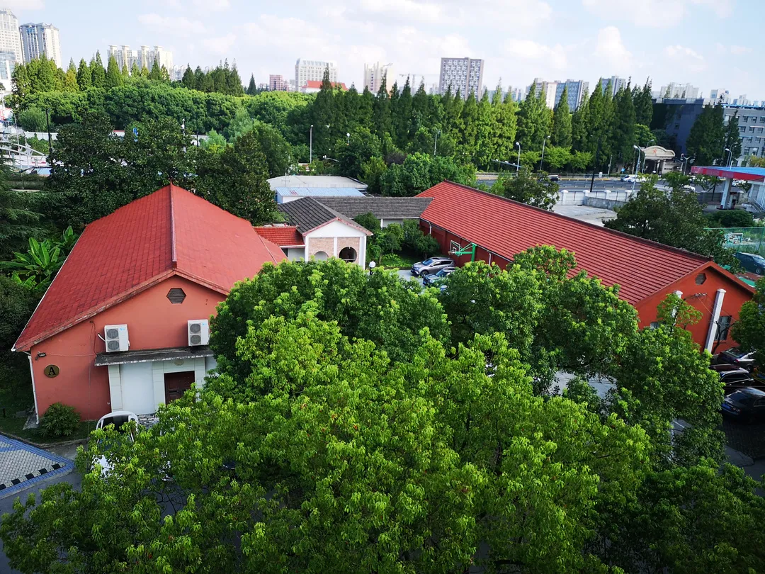 美高+AP、A Level，如何确定哪个课程更适合孩子？