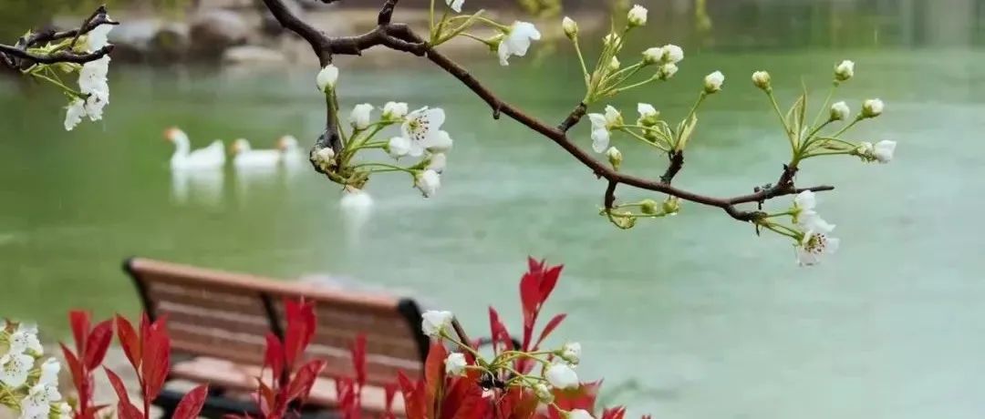 倒计时100天！河南农大120岁生日又近了