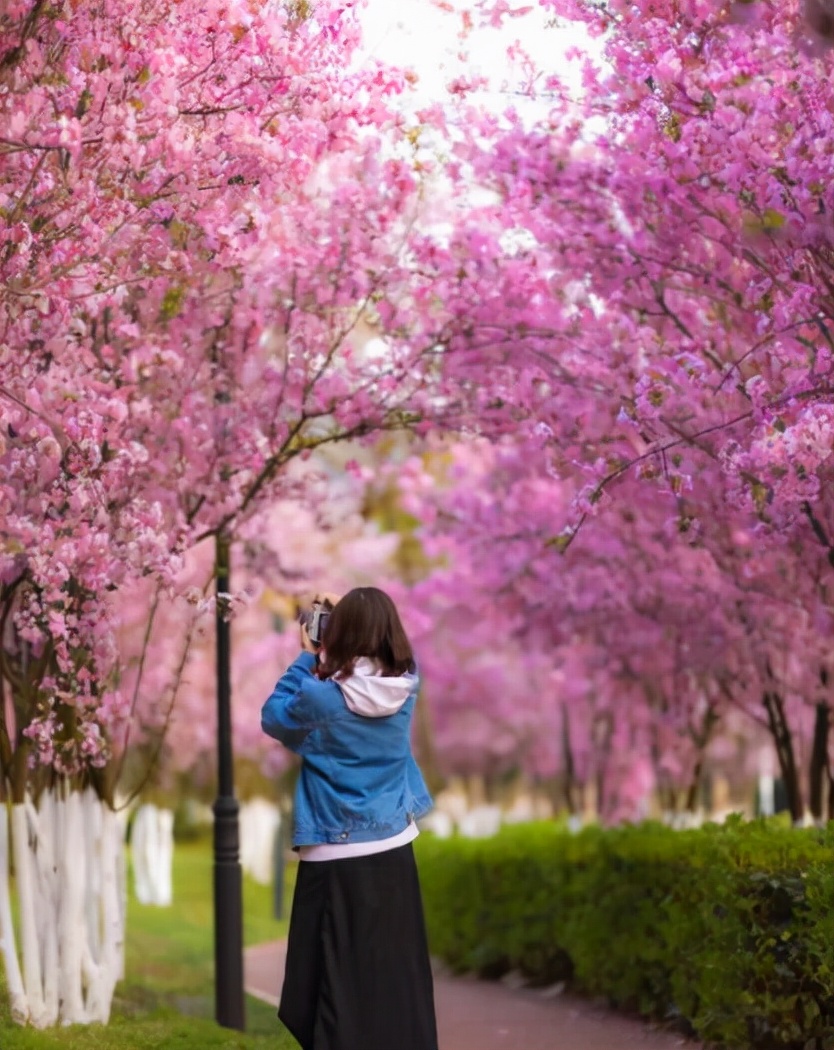 云南不是只有“昆明理工”，这五所大学也值得报名的，就业方向好