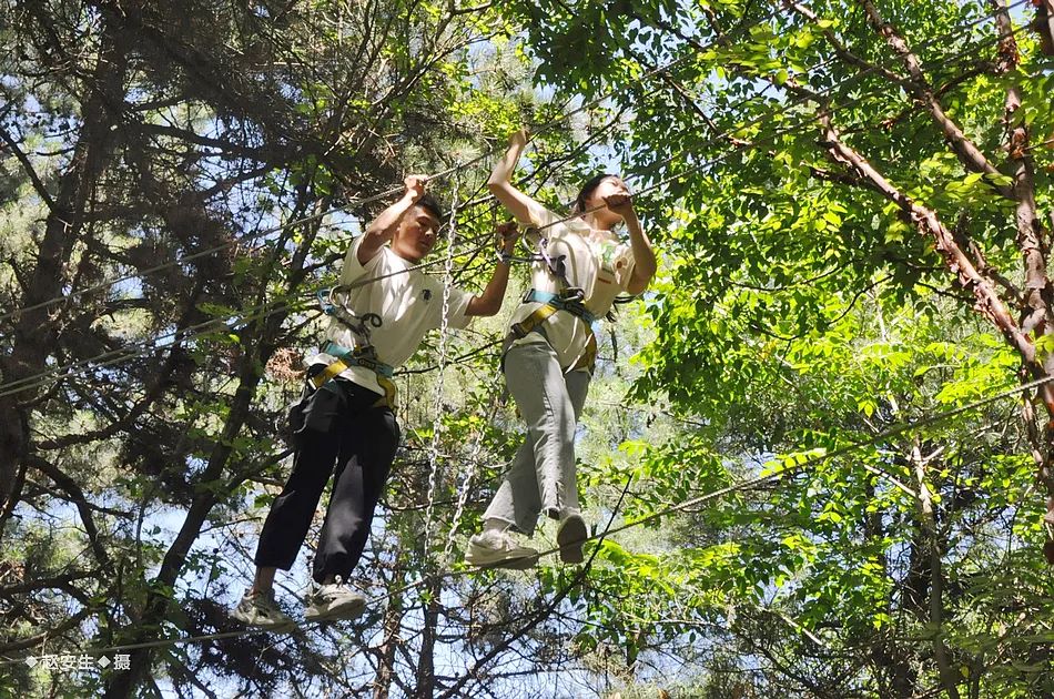 因麥積山而來 留植物園忘返！麥積山植物園帶你體驗叢林探險的樂趣