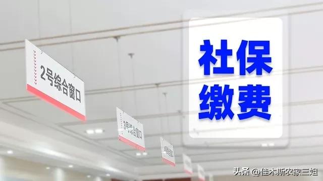 15000交了15年社保能领多少-第2张图片-科灵网