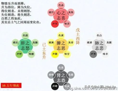 形象理解人体小宇宙运动