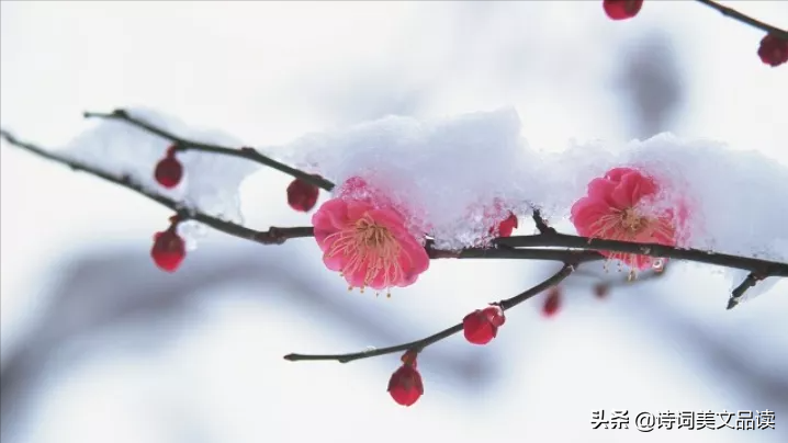 古诗文中的绝美成语：读之，朗朗上口；思之，意境深远