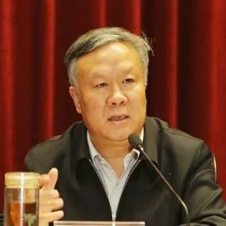 两会召开！这56位人大代表、政协委员进京履职，全部来自重庆同一大学！