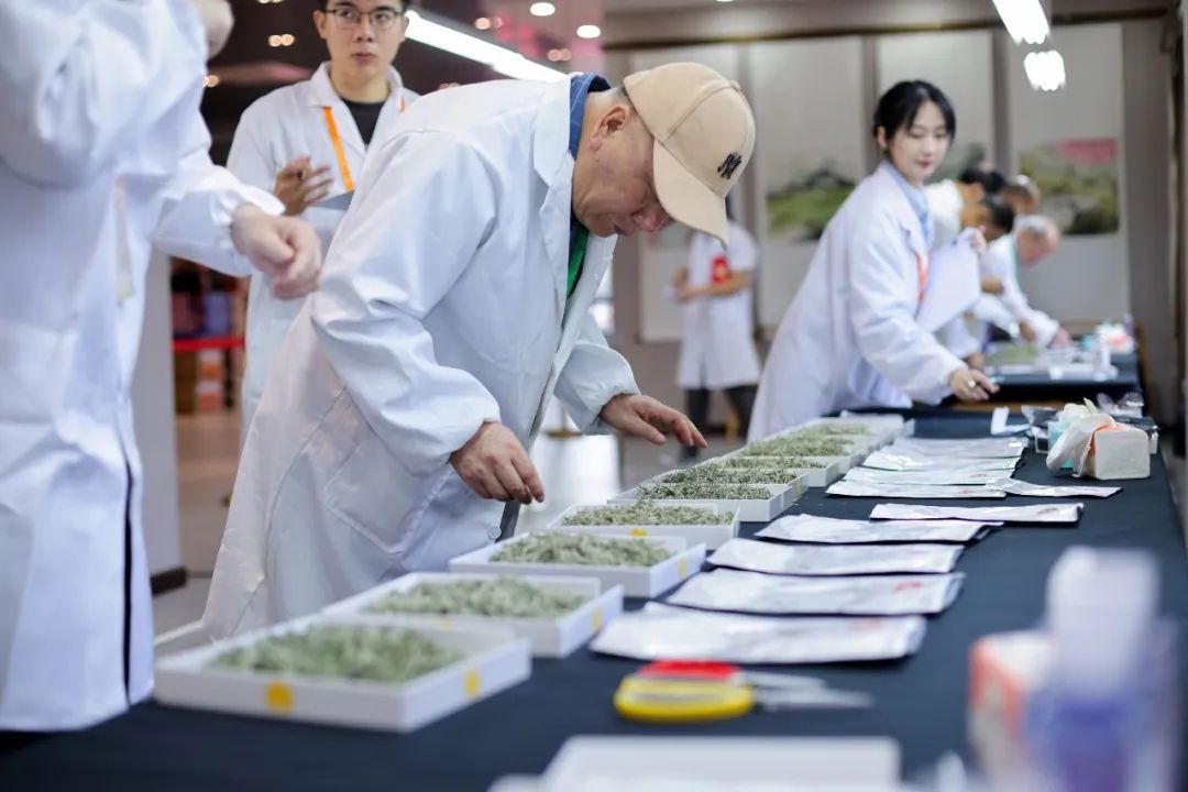 “敬國際茶日一杯好白茶”冠軍杯2022首屆白毫銀針斗茶賽正式啟動