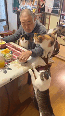 高效率，易清洗，轻松粉碎食材，给孕妈吃点不一样的