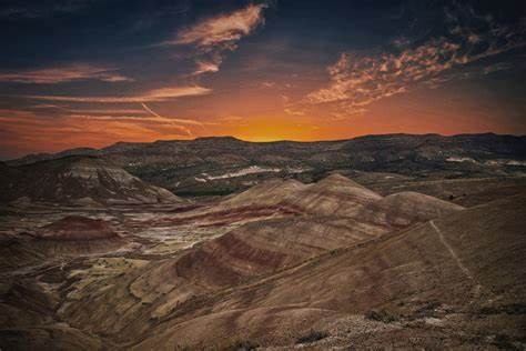 近一亿岁的纳米布沙漠，8000年无人敢入，生物如何在里面生存？