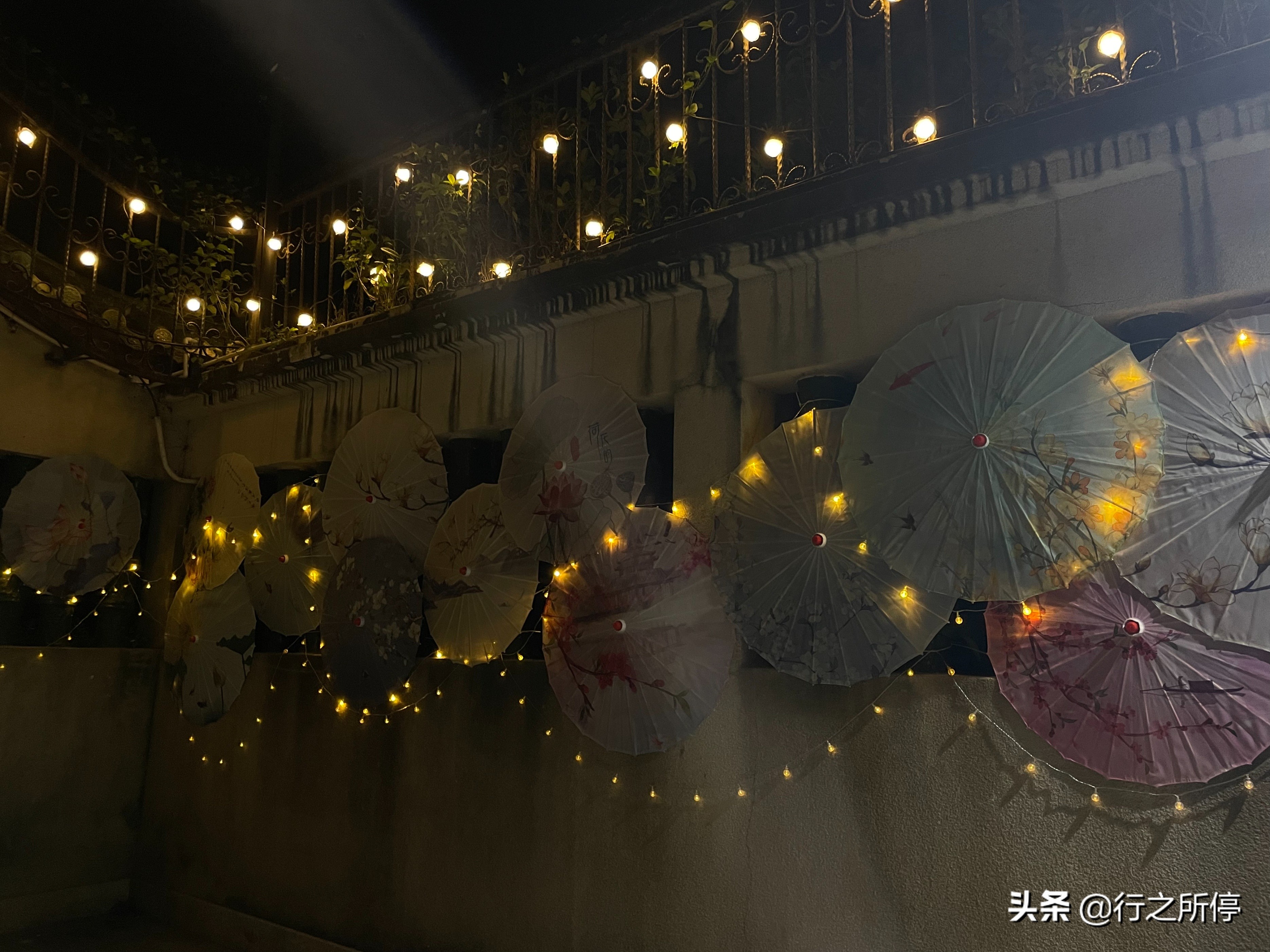 “中国最美大学”厦门大学博物馆开门了？还有惊喜的夜游活动