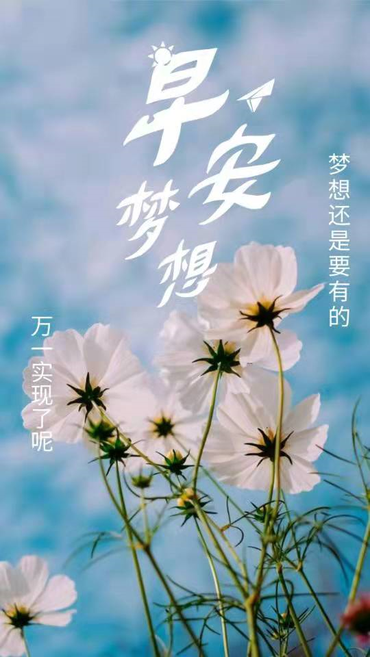 今日好心情：微笑迎接阳光，每一步都充满希望与温暖