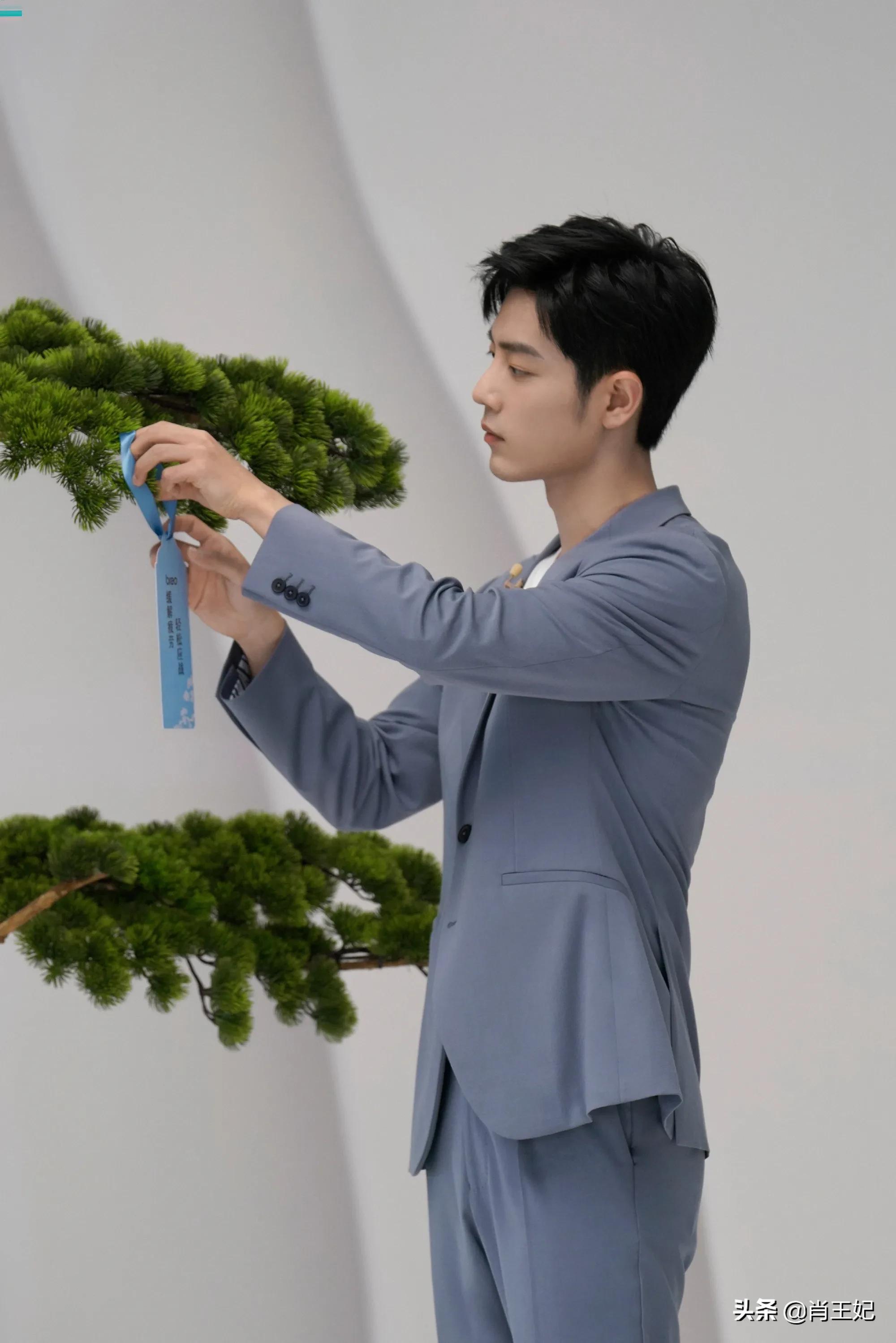 存个记录,寻艺前20数据排名 肖战占了17 个,肖战好牛