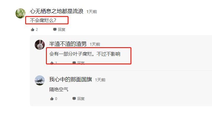 大爷土方法存储香菜，一捆捆竟绿得发光，网友不解：真这么好使？