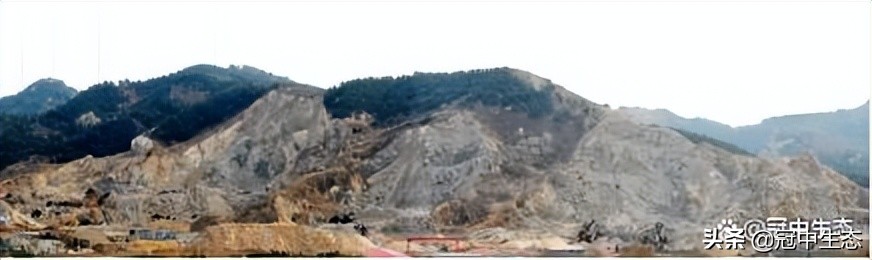 冠中生态｜揭开“优粒”土壤的神秘面纱