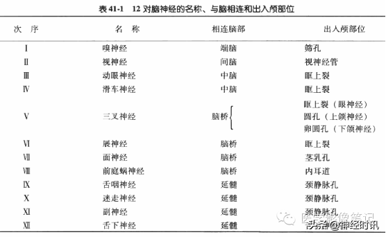 12对脑神经记忆口诀及图谱，别说你没见过