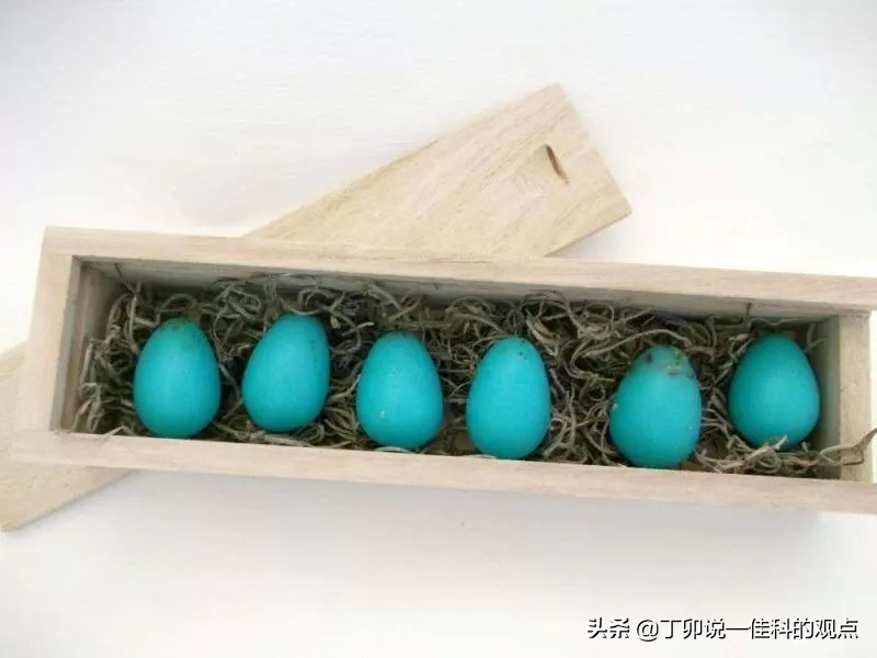 第八讲 品牌识别