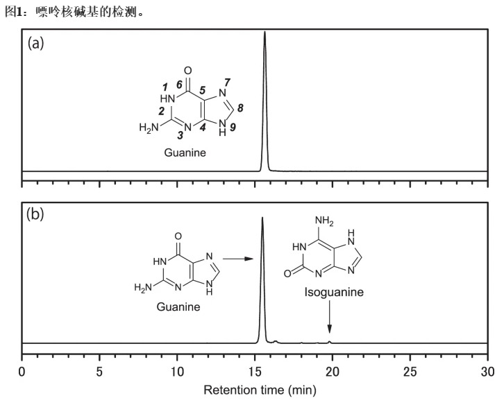 ���Ƕ������Ǻ����70������ʯ����DNA�ɷ֣���������������̫��